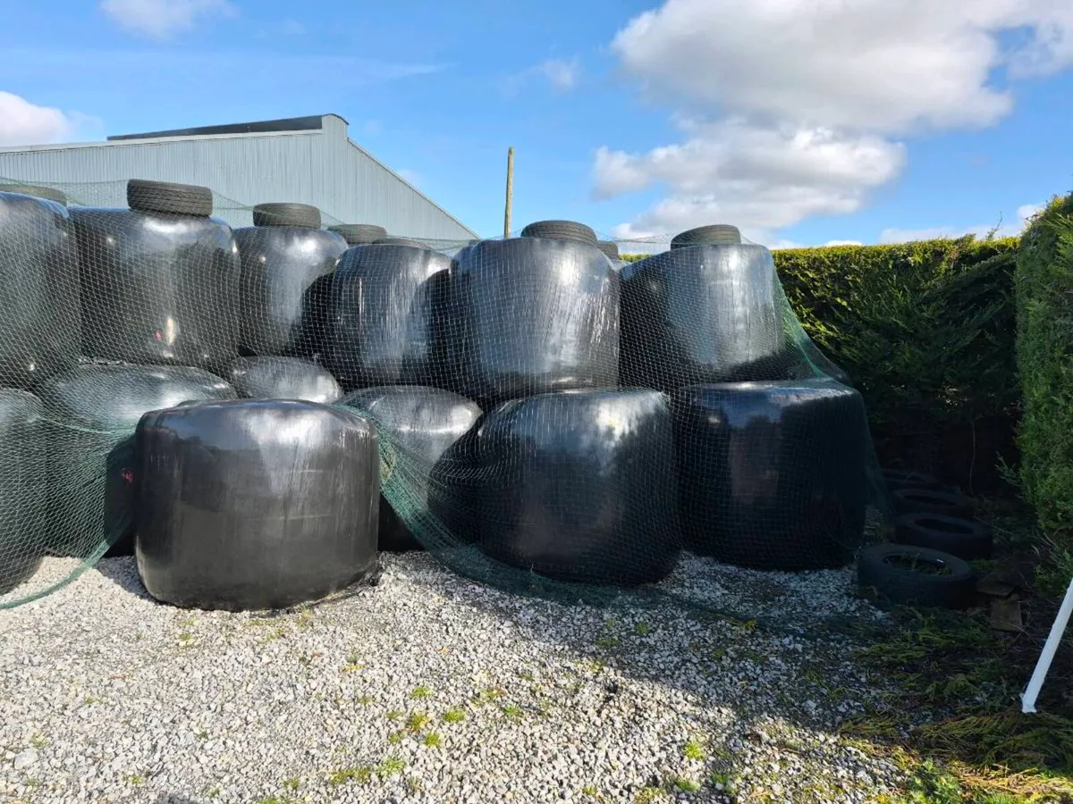 Silage Bales - Image 1
