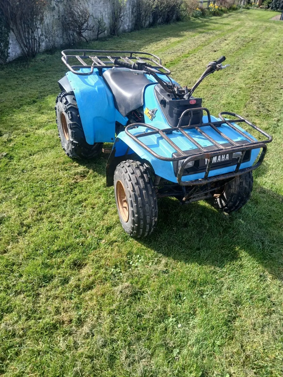 Quad bike - Image 1