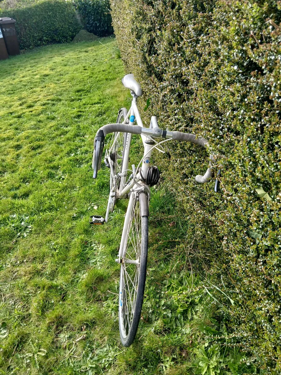 Bertini Racer Bike for Sale - Image 3