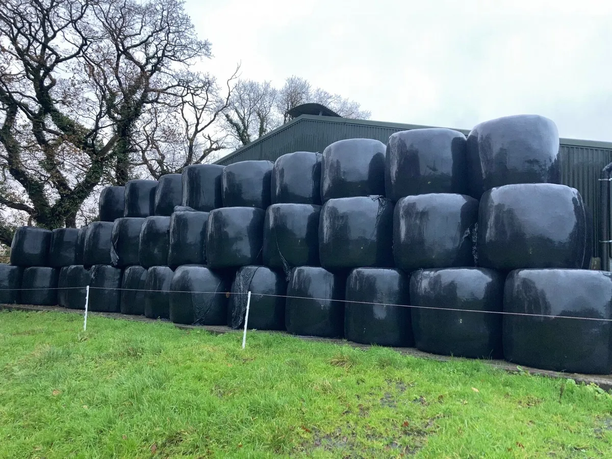 bales of silage/haylage