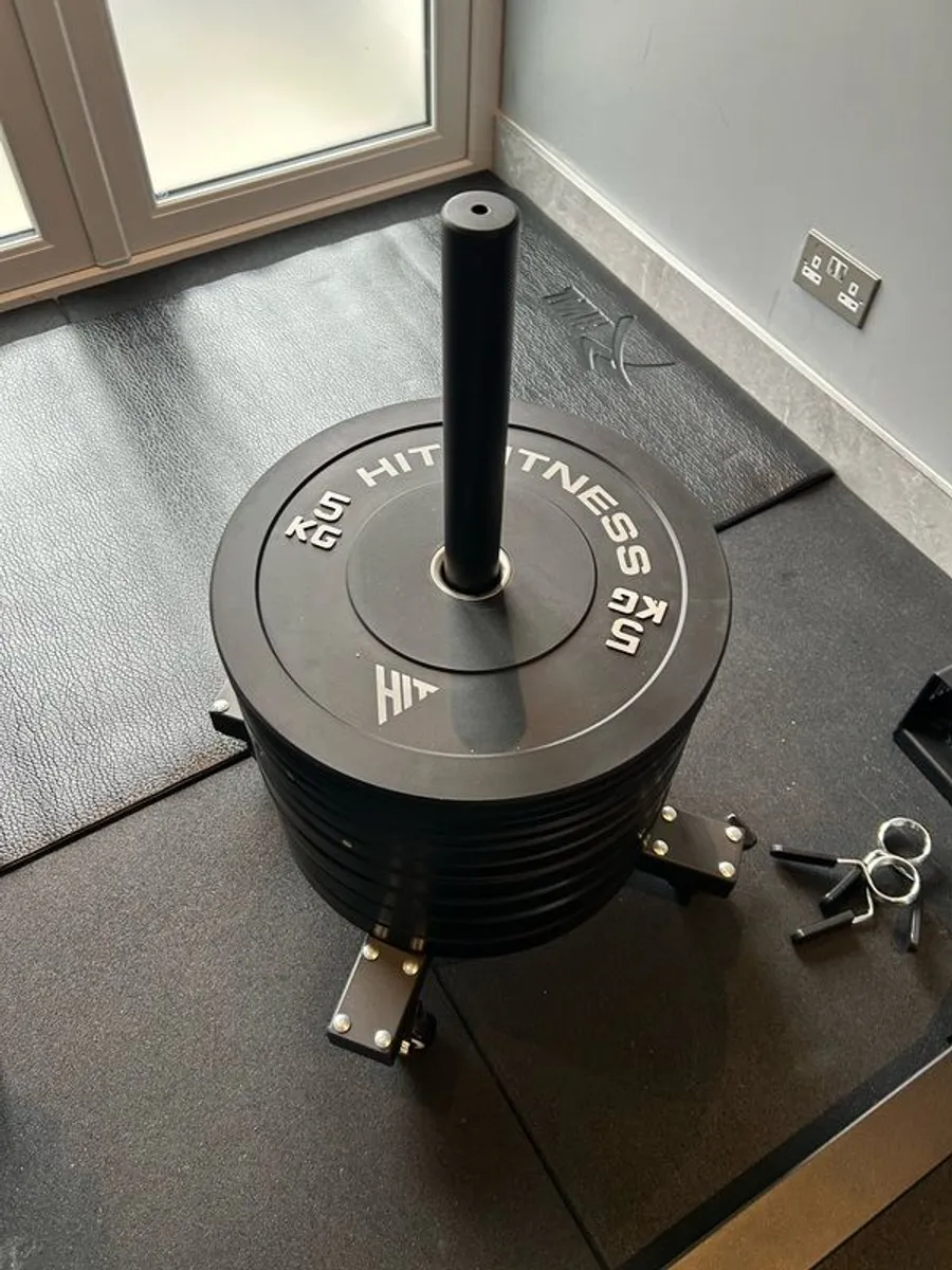 Bumper Plate Storage Trolley - Image 2