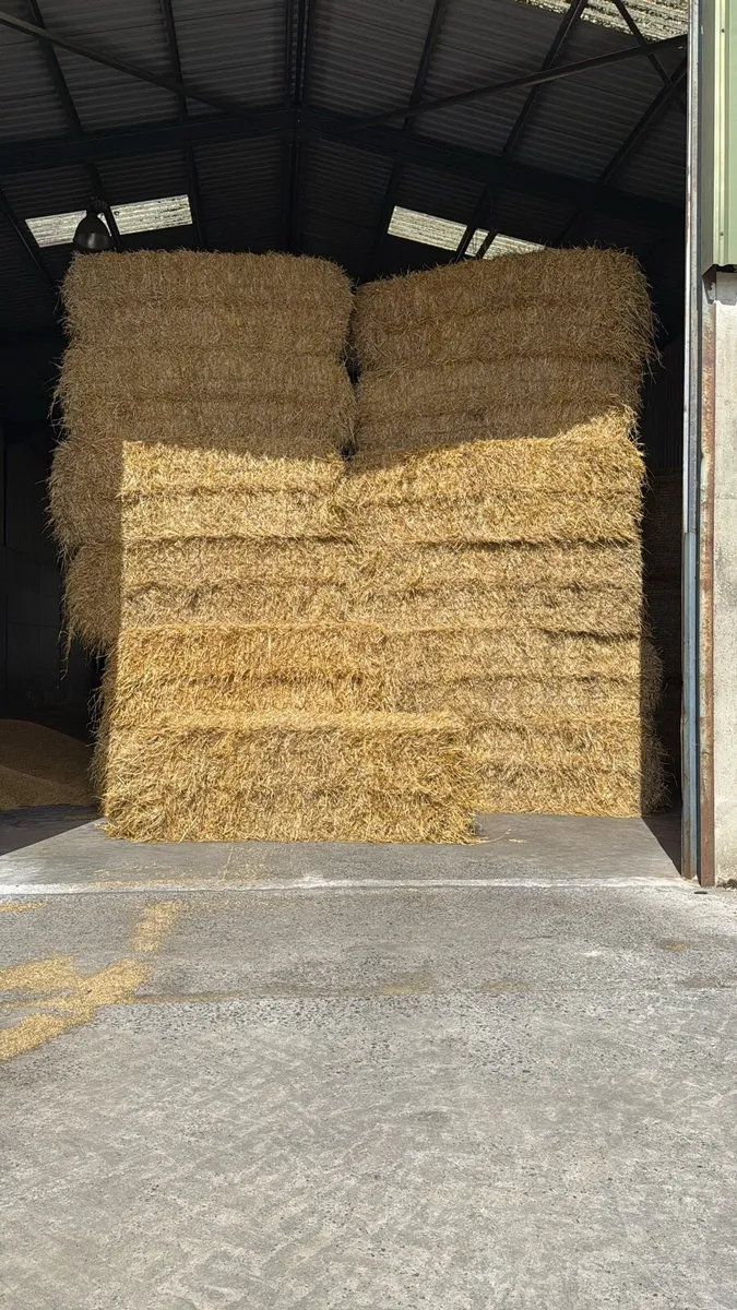 8x4x3 Barley straw