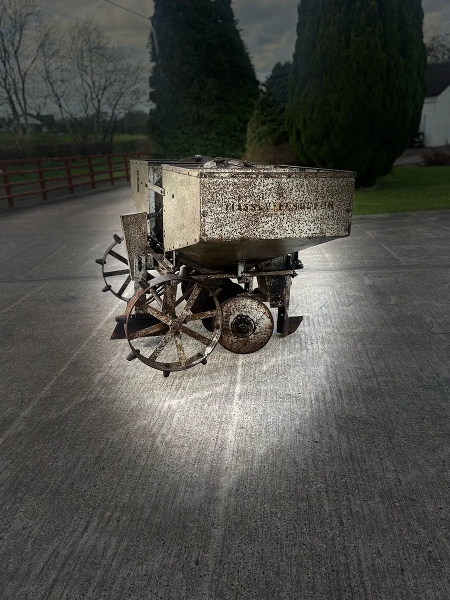 Massey Ferguson potato planter - Image 4