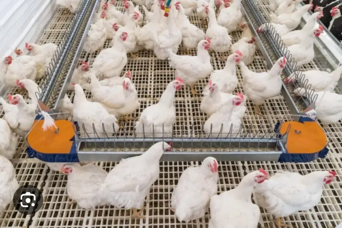 *WANTED* jansen nest boxes and chain feeders - Image 1