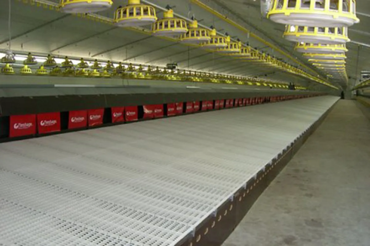 *WANTED* jansen nest boxes and chain feeders - Image 3