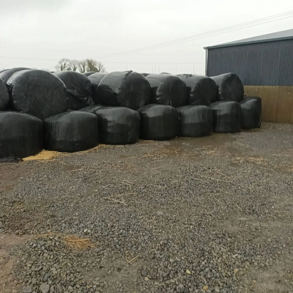 Silage bales