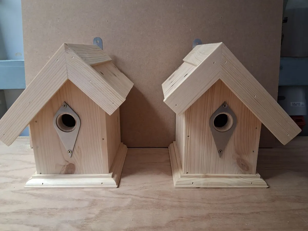 Bird boxes - Image 1