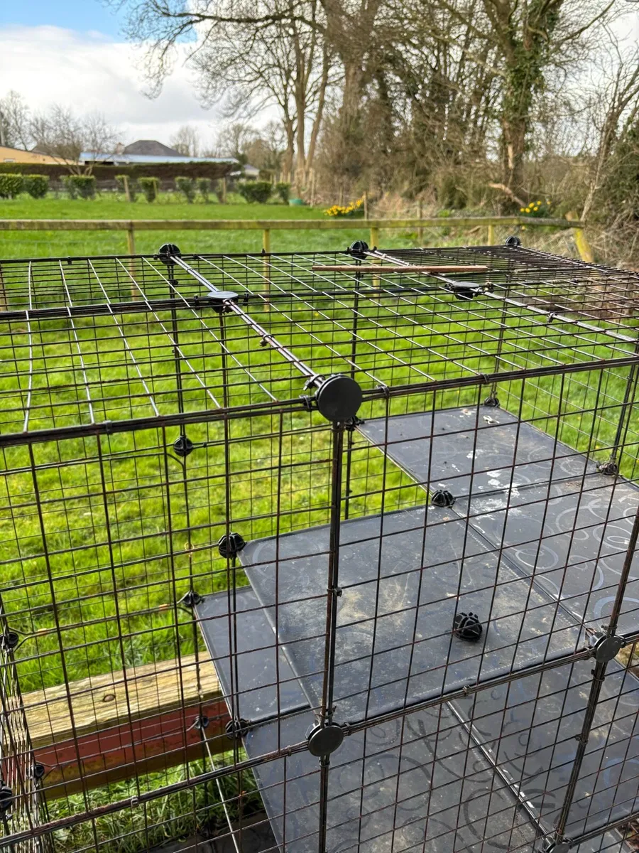 Indoor/Outdoor Cat Enclosure - Image 2