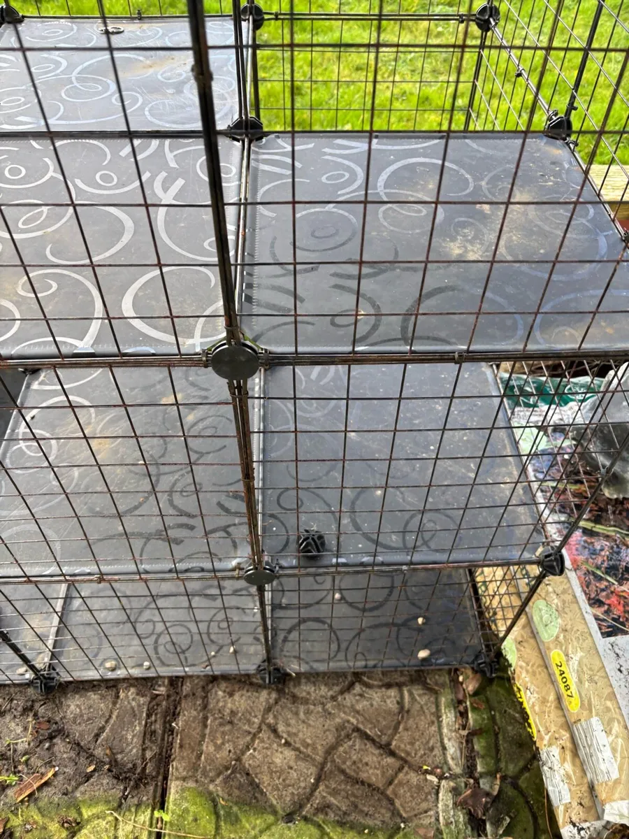 Indoor/Outdoor Cat Enclosure - Image 3