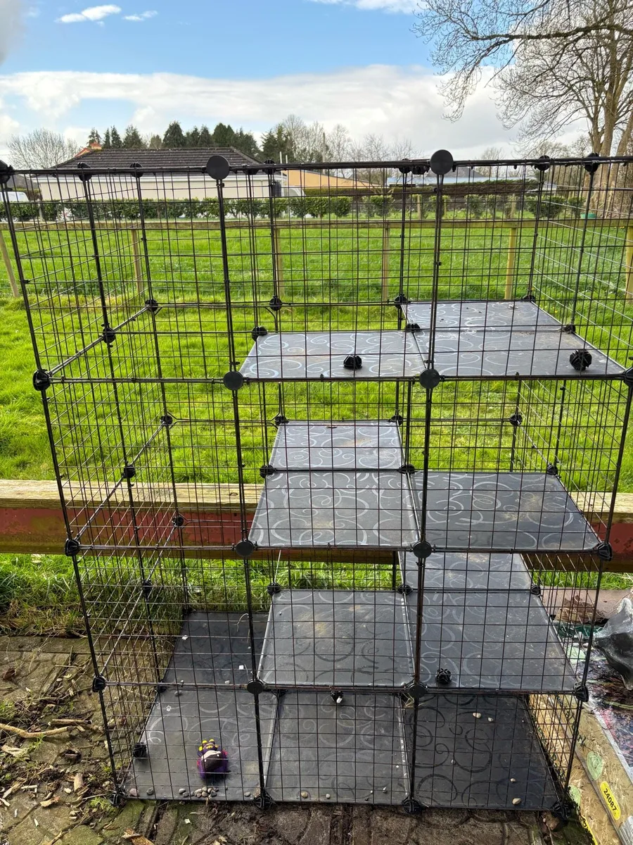 Indoor/Outdoor Cat Enclosure - Image 1