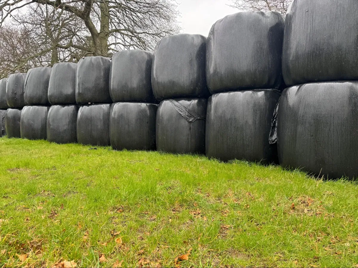 Organic haybales - Suitable For Horses