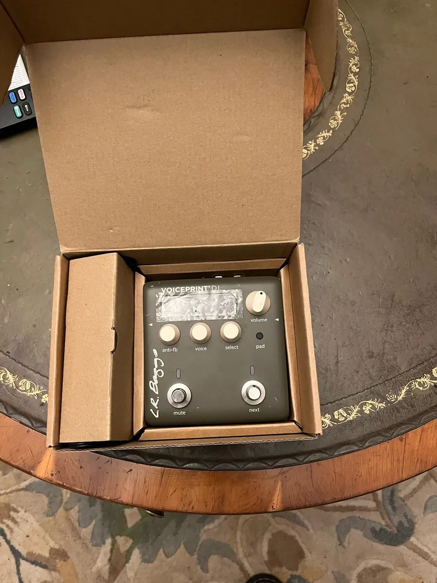 Lr baggs voiceprint - Image 2