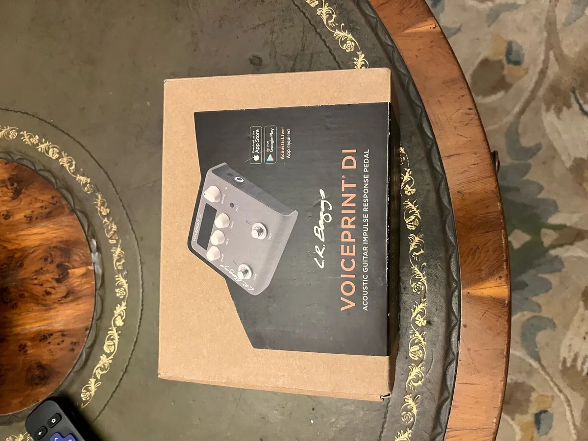 Lr baggs voiceprint - Image 3