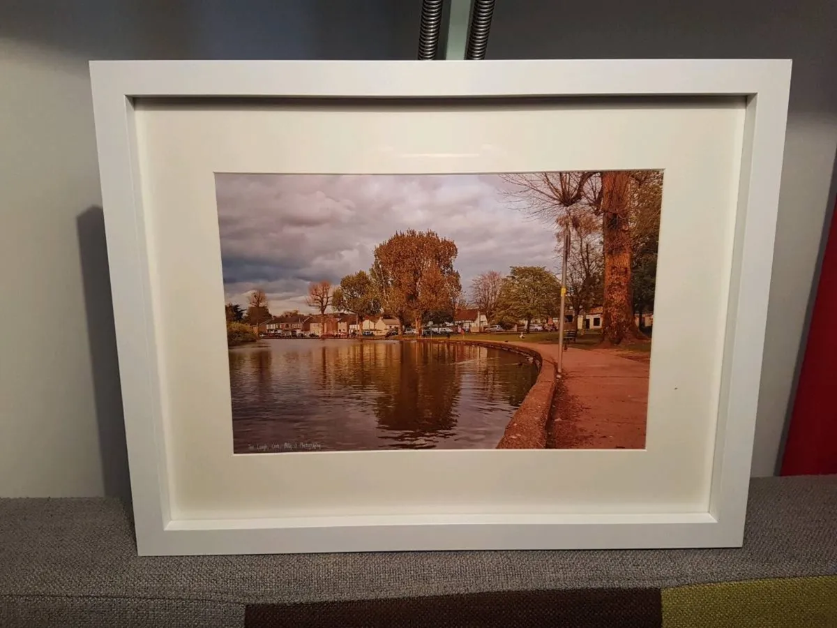 The Lough, Cork - Image 3