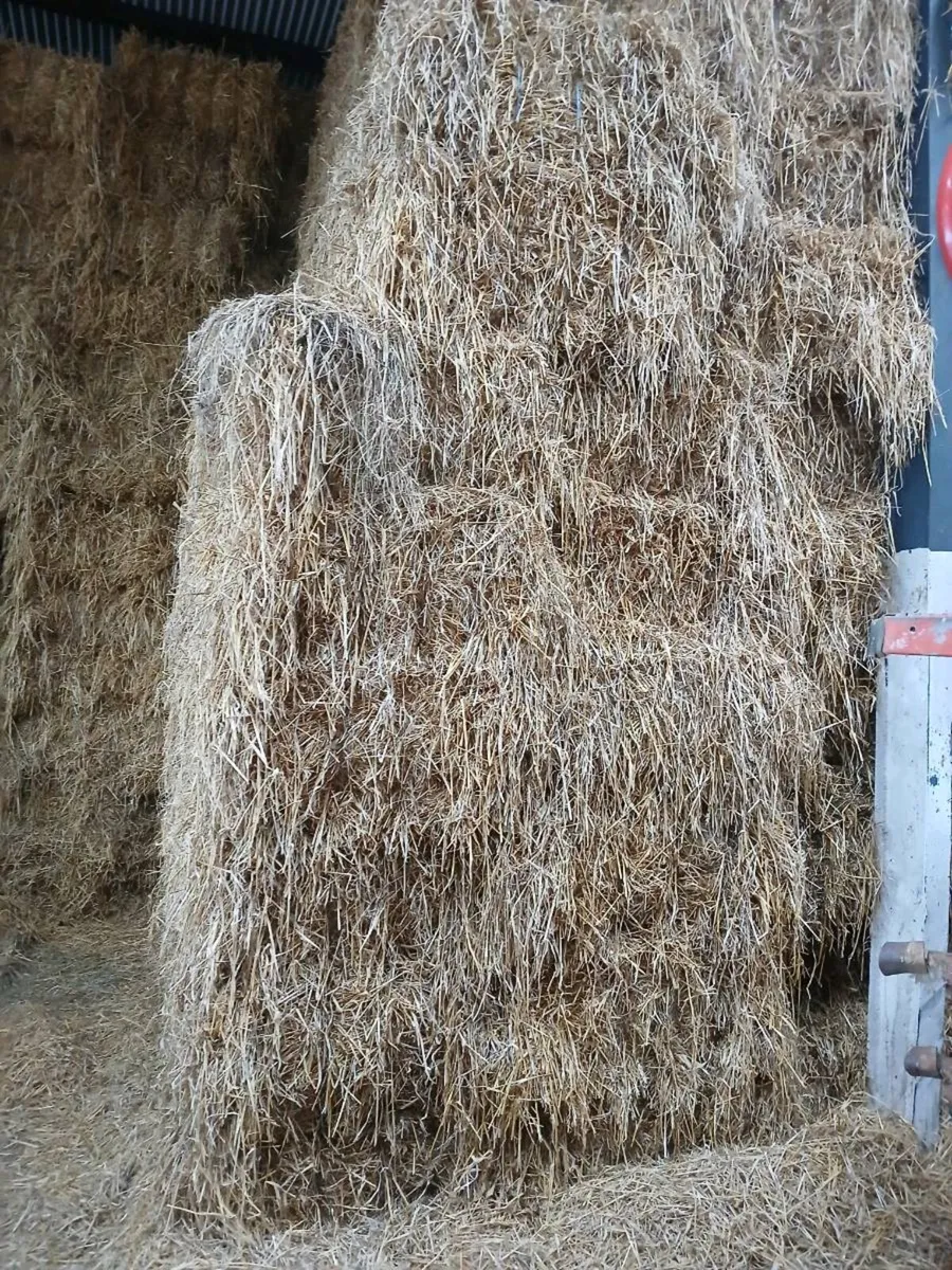 Hay - Image 1