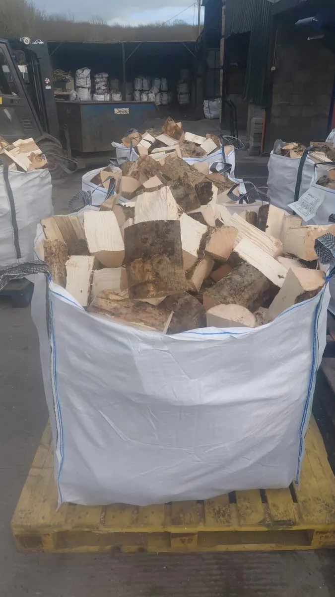Dry Ash Firewood Hardwood - Image 3
