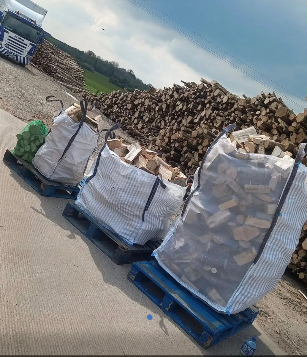 Dry Ash Firewood Hardwood - Image 1