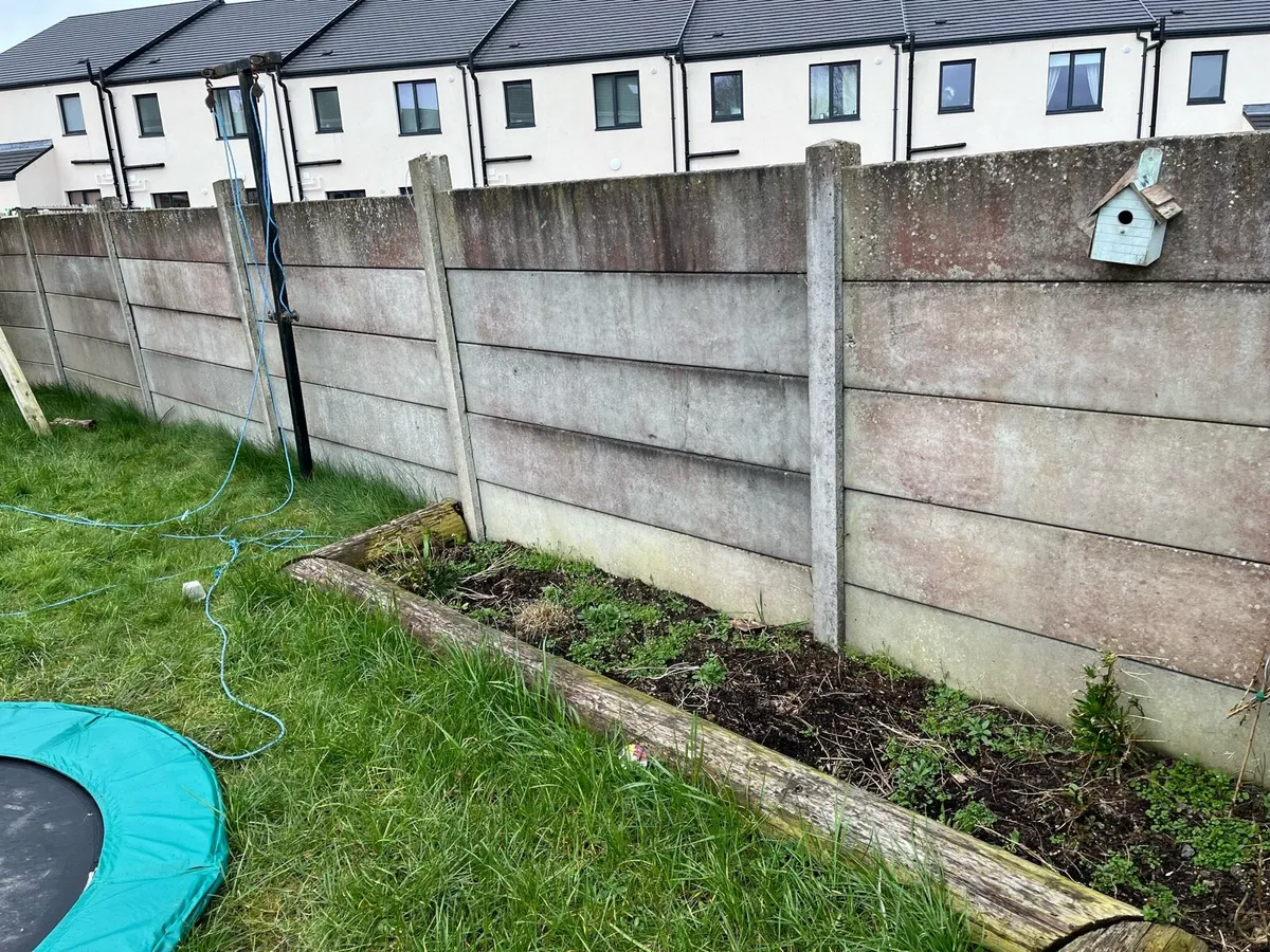 - Free - Concrete fence panels - Image 2