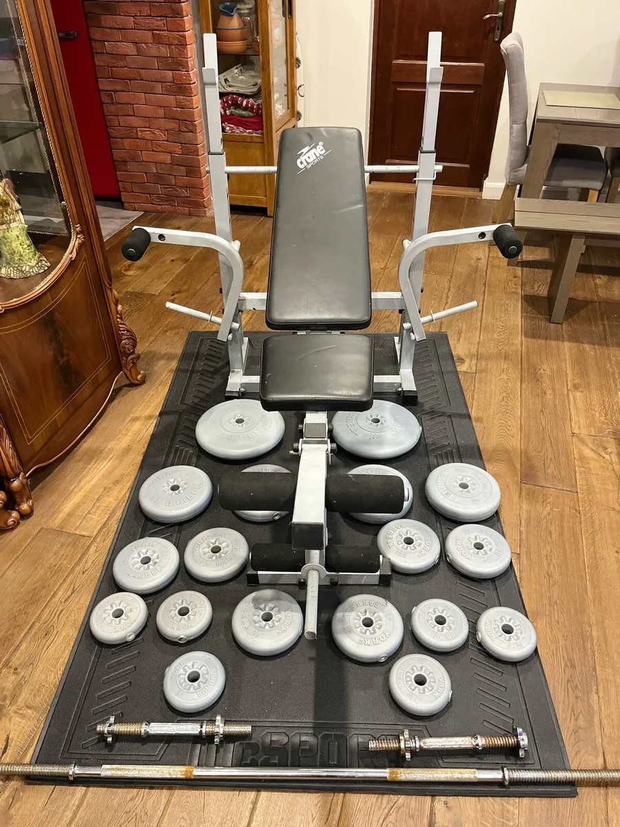 Bench barbell dumbbells and weights - Image 1