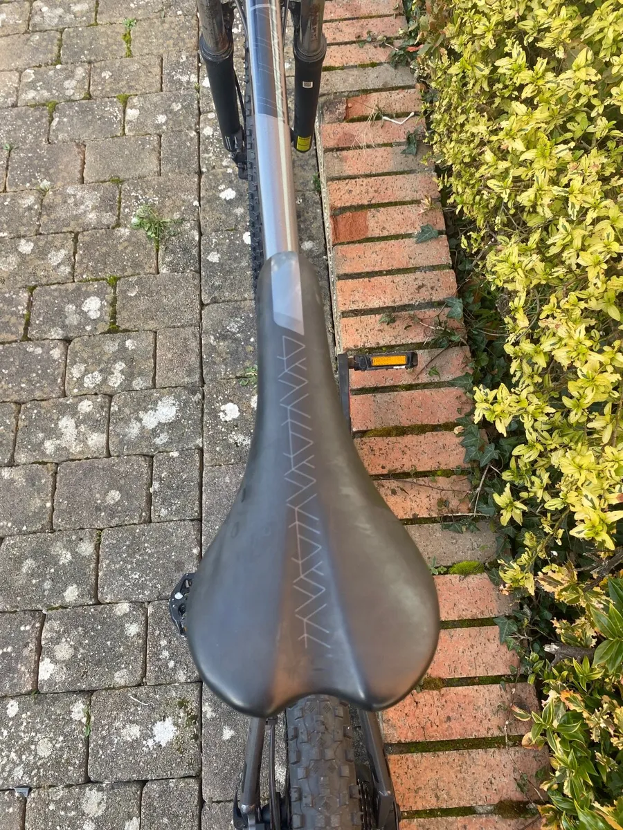 Carrera vengeance - Image 3