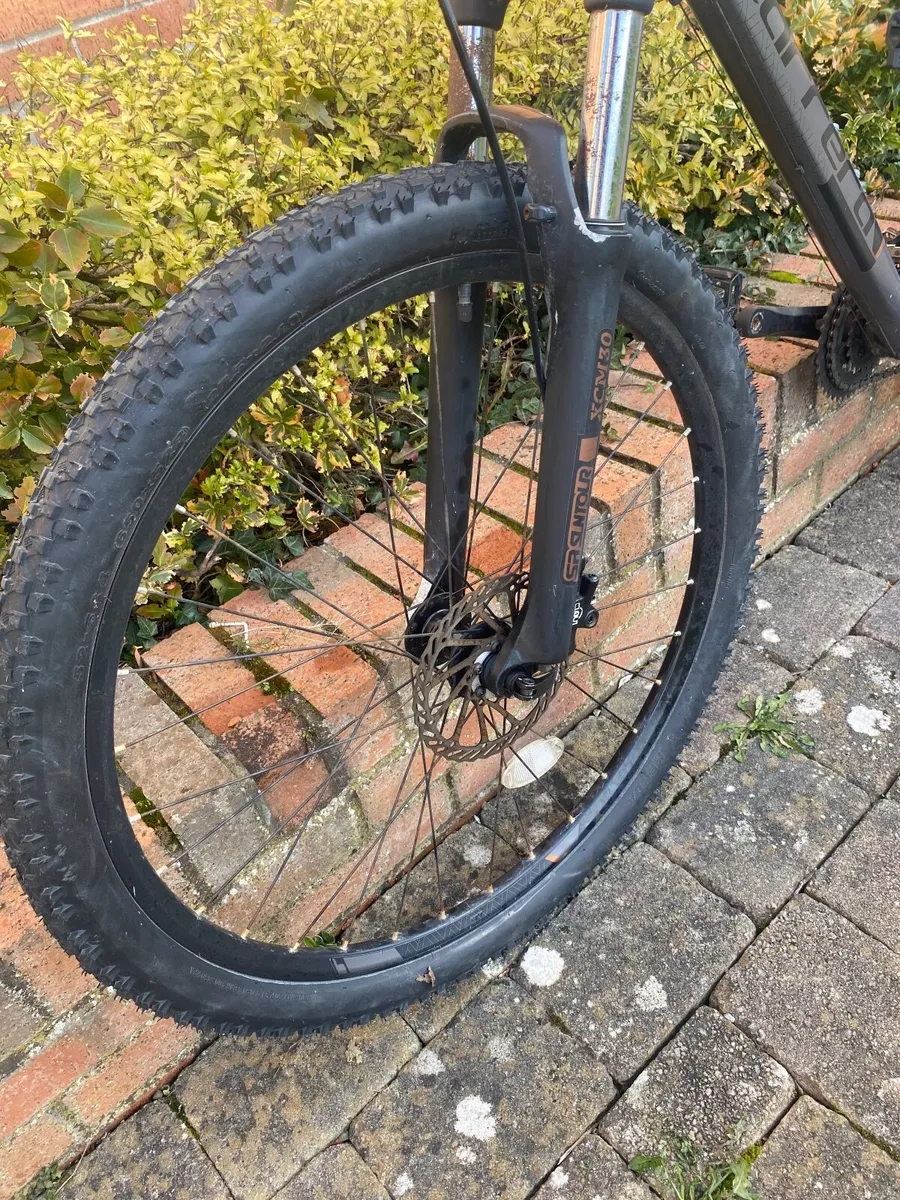 Carrera vengeance - Image 4