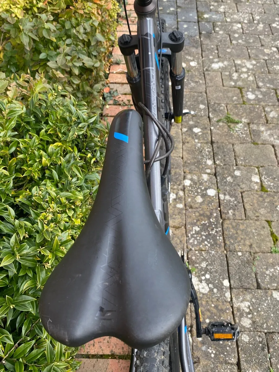 Carrera vengeance - Image 3