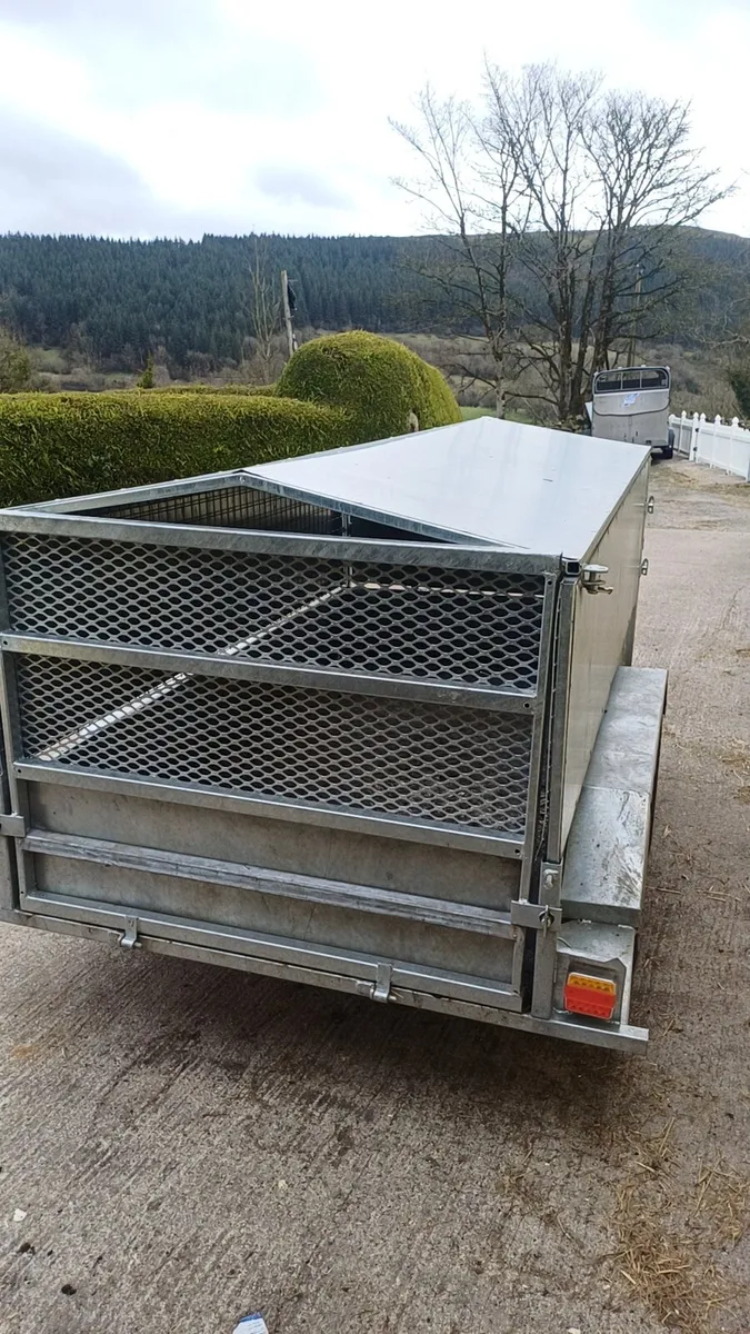 8x4 sheep trailer - Image 2