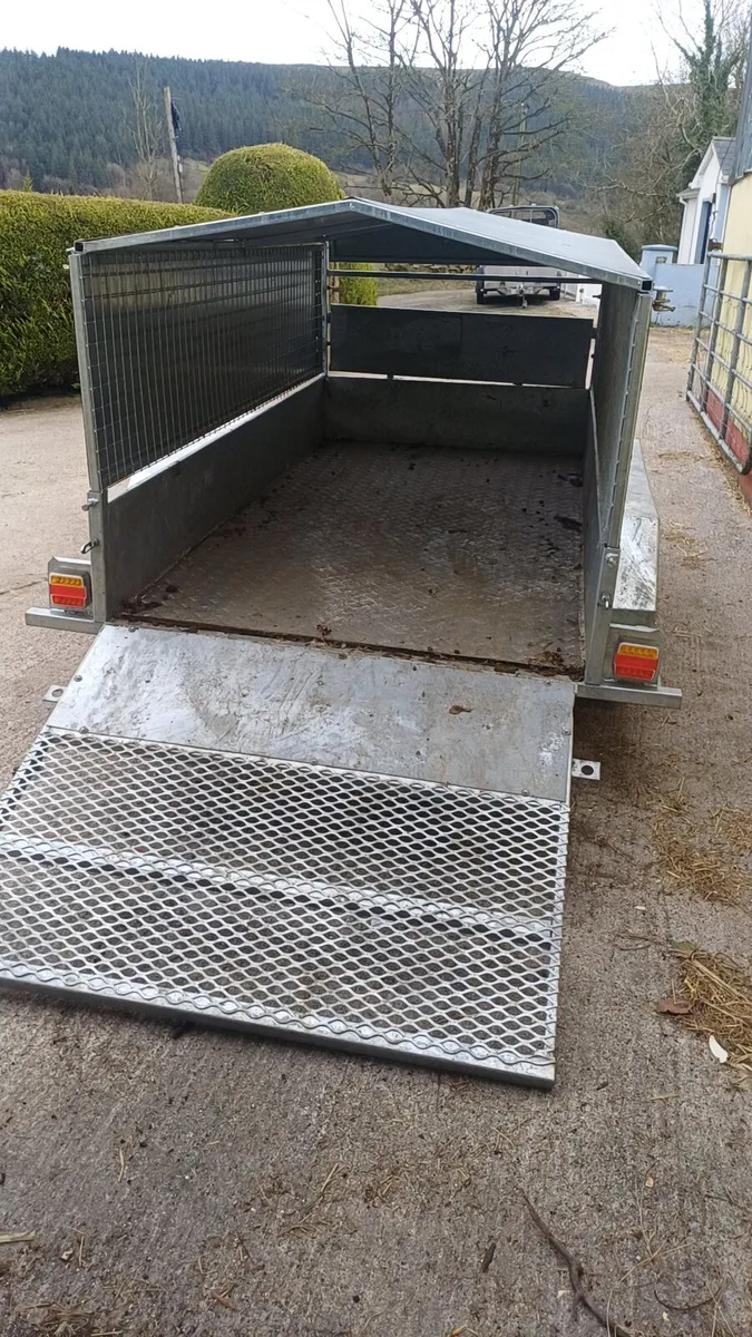 8x4 sheep trailer - Image 3