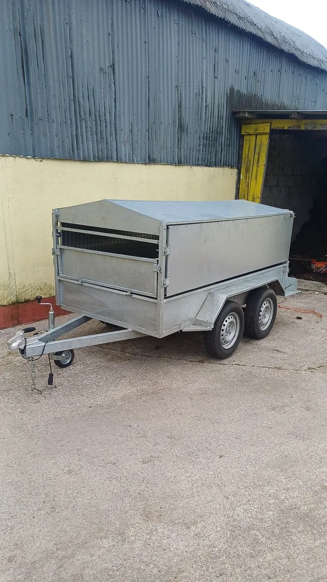 8x4 sheep trailer - Image 1