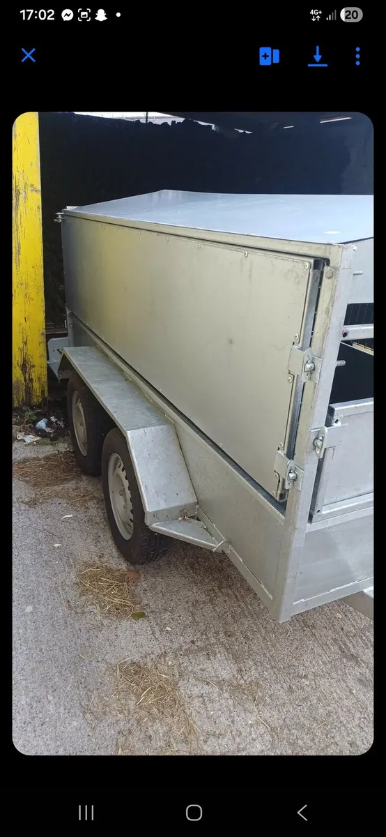 8x4 sheep trailer - Image 4