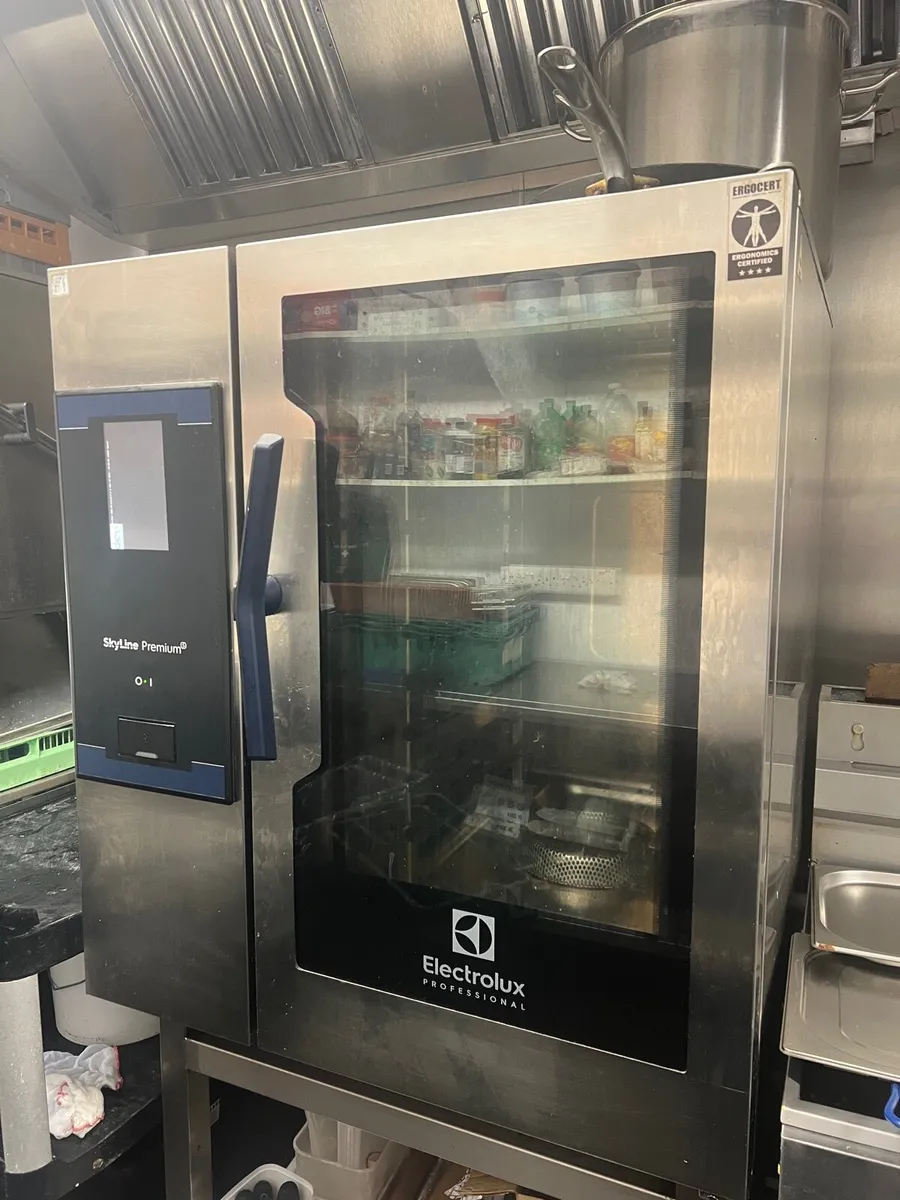 Electrolux Skyline combi oven. 10 grid lpg - Image 1