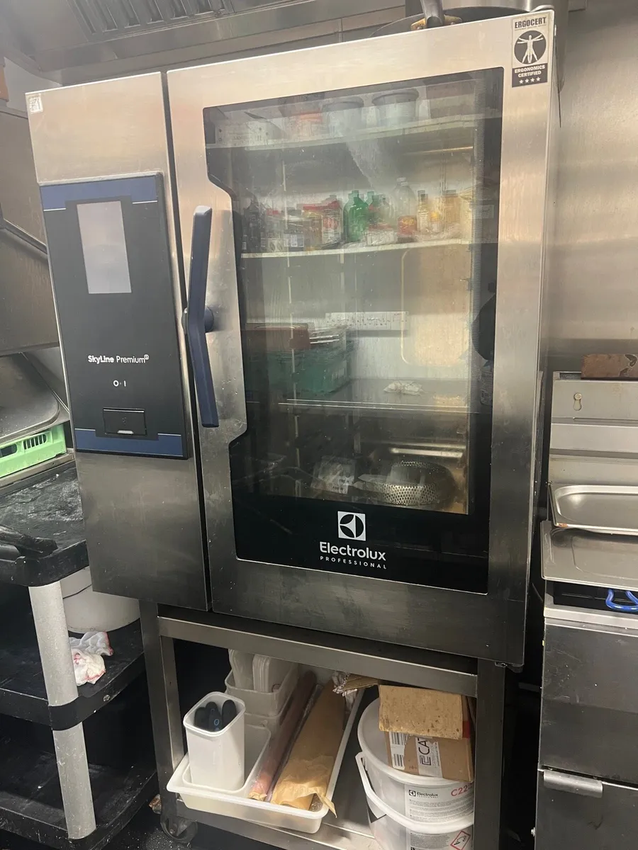 Electrolux Skyline combi oven. 10 grid lpg - Image 3