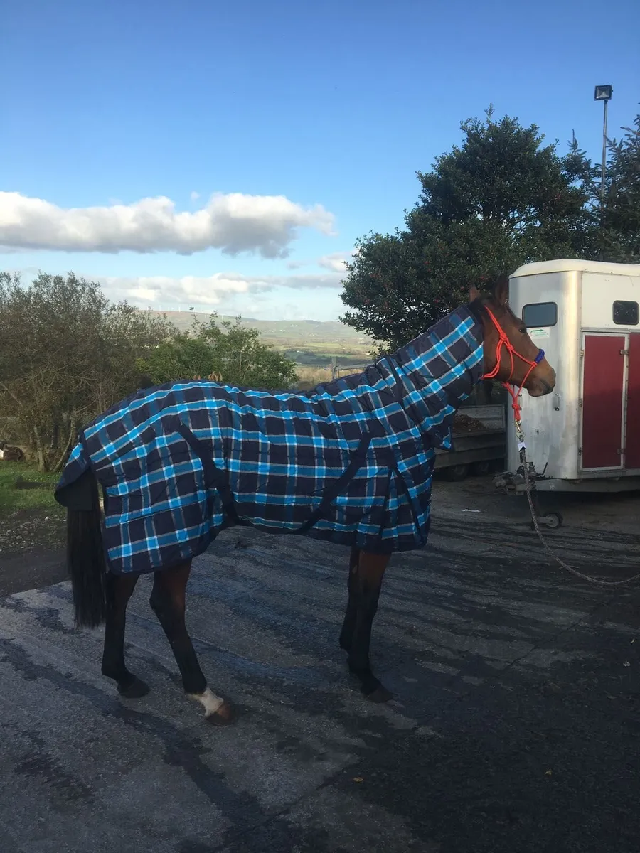 Horse Rugs - Turnout and Stable - Image 2