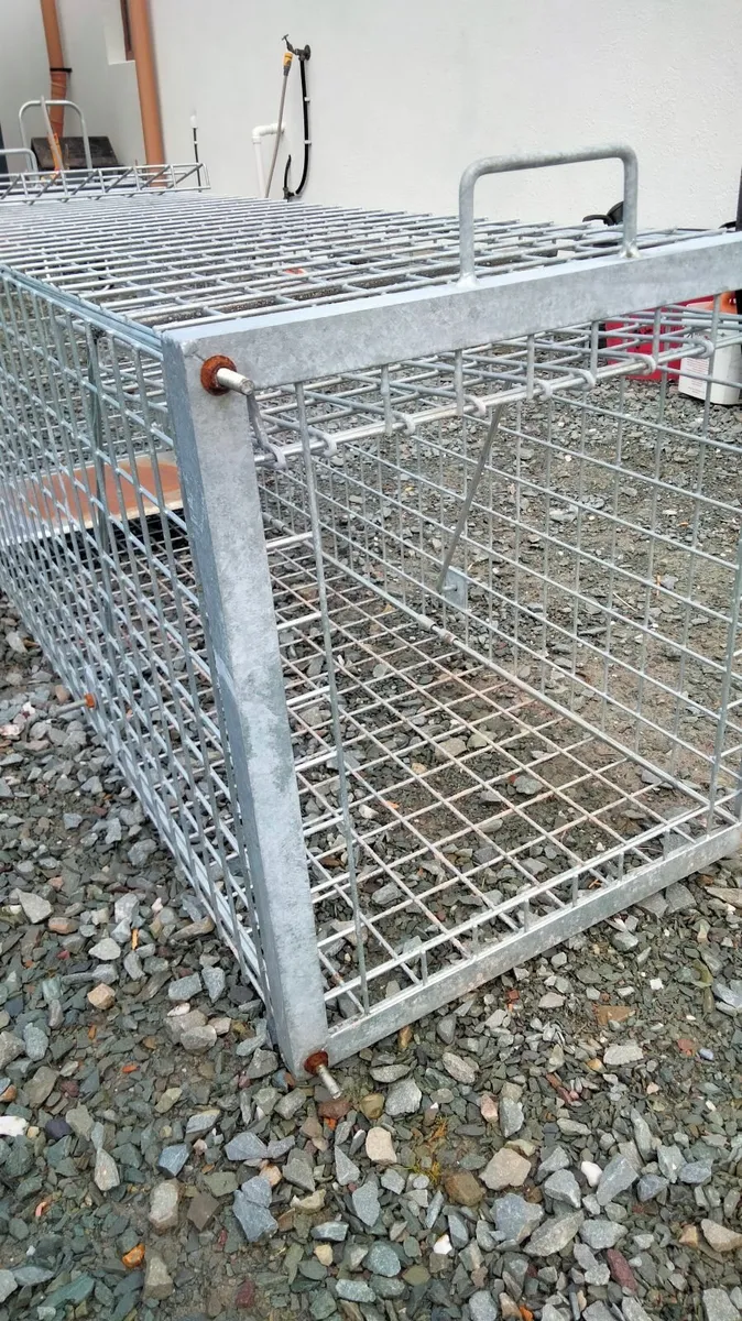 Heavy duty  🏋🏽‍♂️ Fox trap 🦊 - Image 2