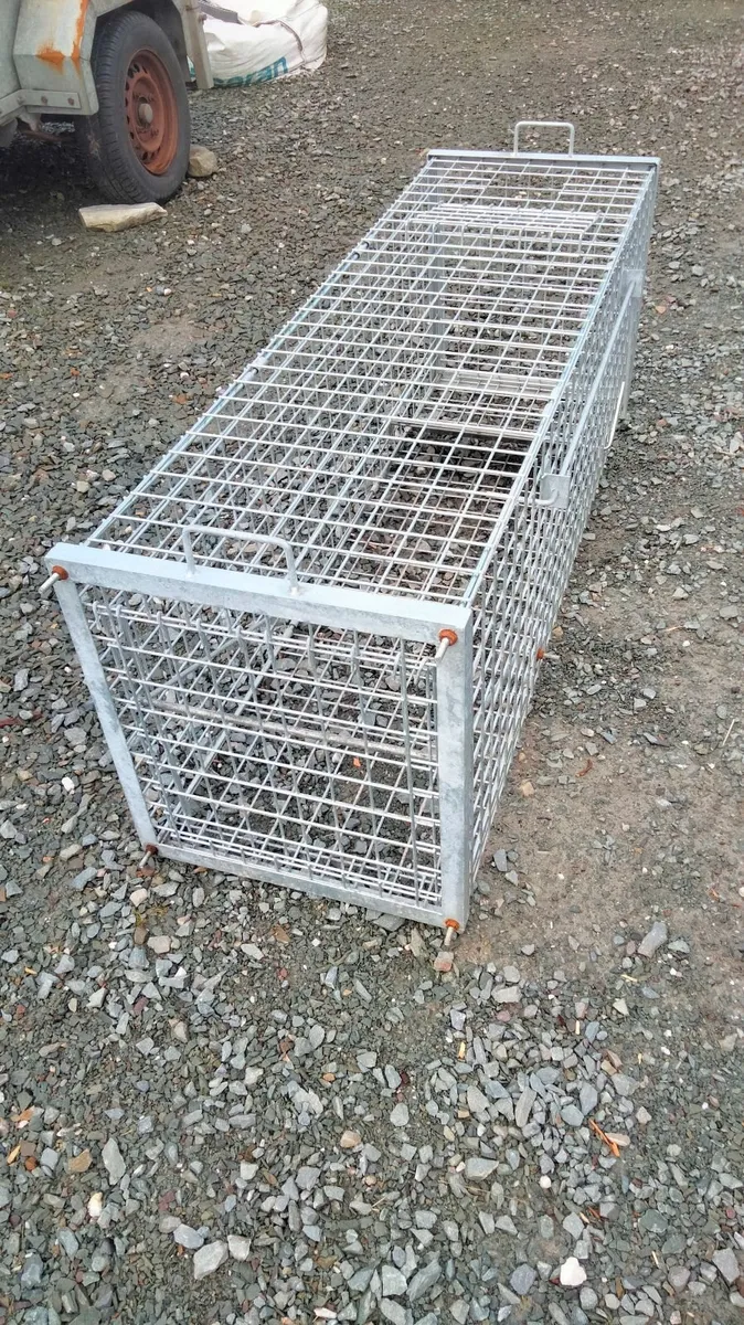 Heavy duty  🏋🏽‍♂️ Fox trap 🦊 - Image 3