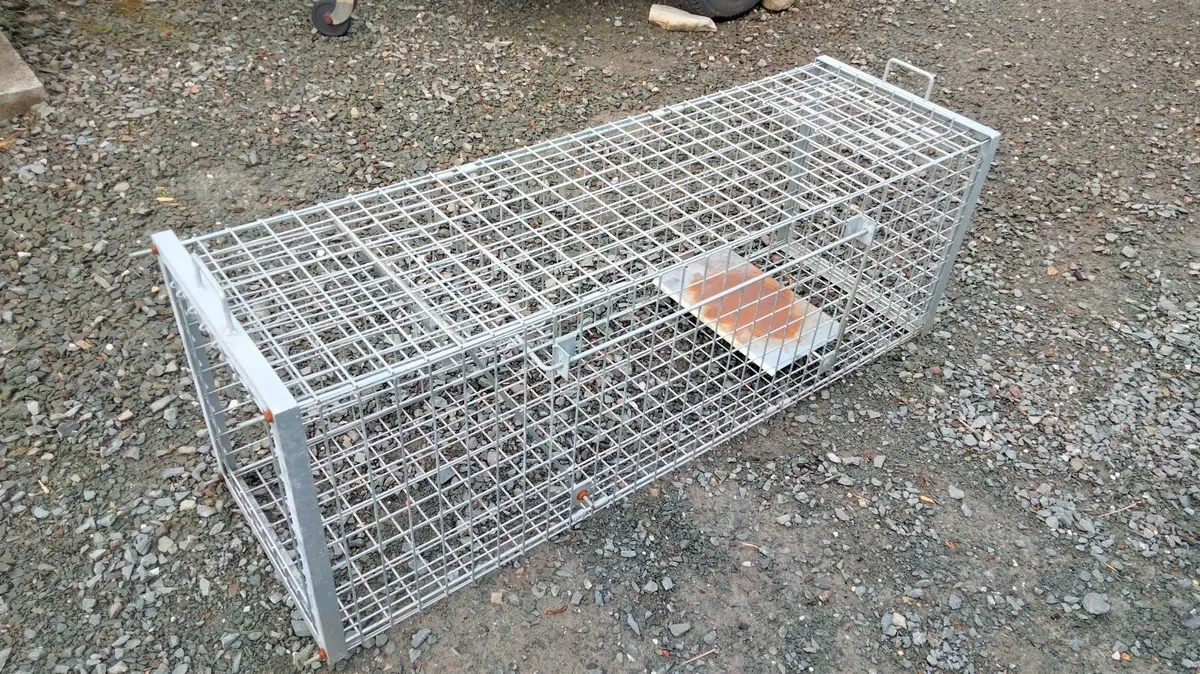 Heavy duty  🏋🏽‍♂️ Fox trap 🦊 - Image 1