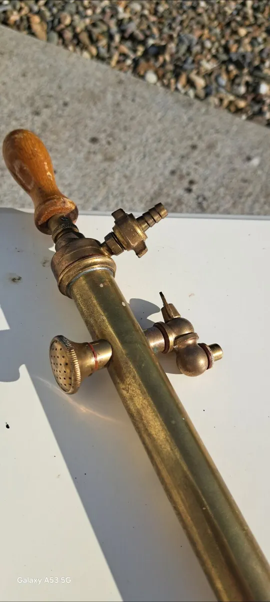 Old roses  bush  brass  sprayer - Image 2