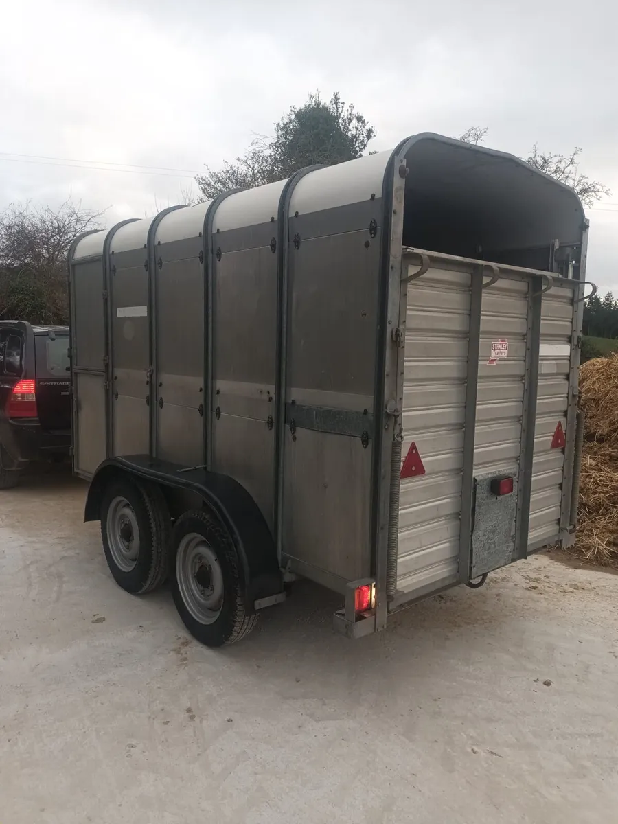 Ifor Williams cow box 10ft immaculate - Image 3