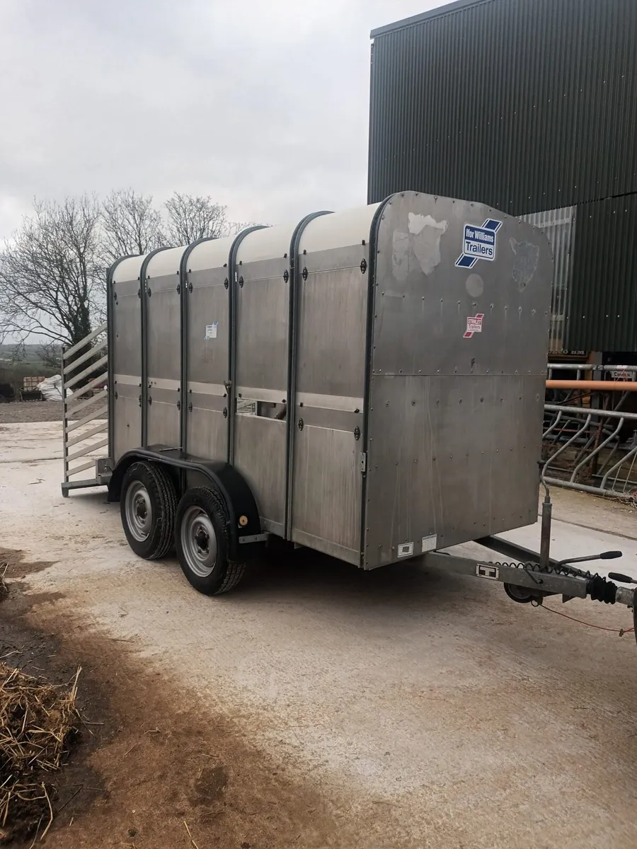 Ifor Williams cow box 10ft immaculate - Image 1