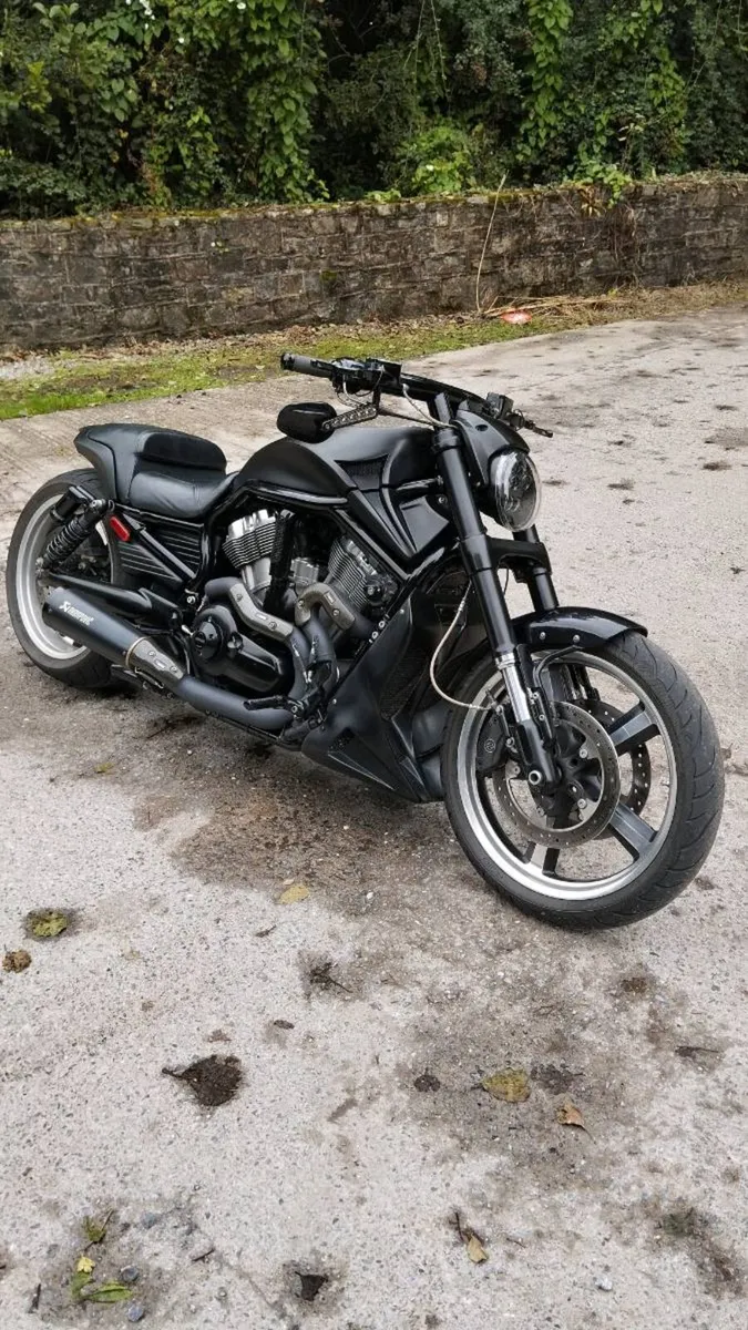 Harley Davidson Custom V-ROD Muscle - Image 2