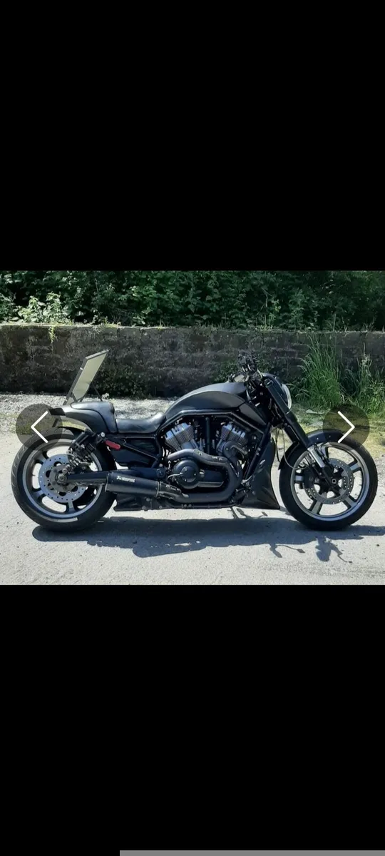 Harley Davidson Custom V-ROD Muscle - Image 1