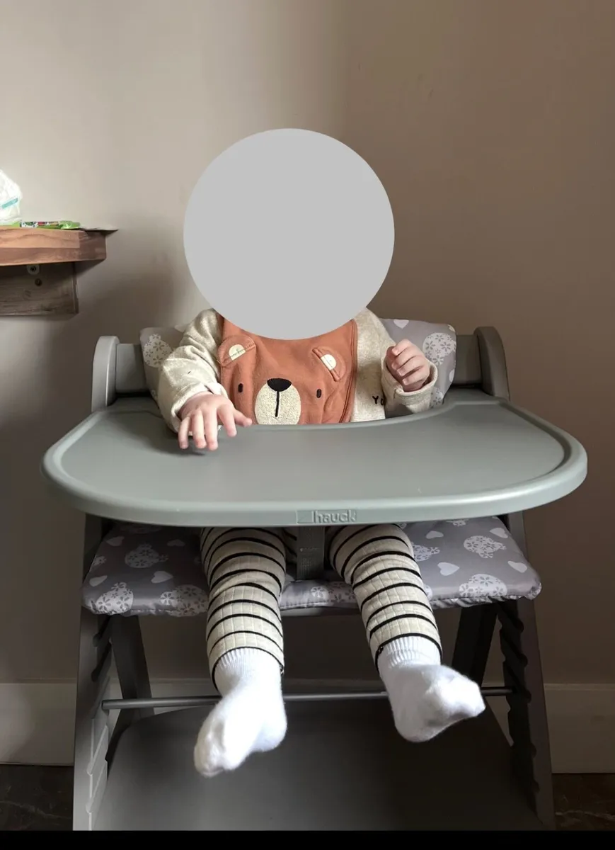 Alpha Highchair and Bouncer - Image 2