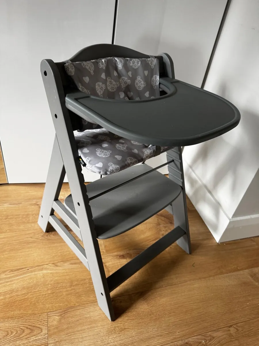 Alpha Highchair and Bouncer - Image 1