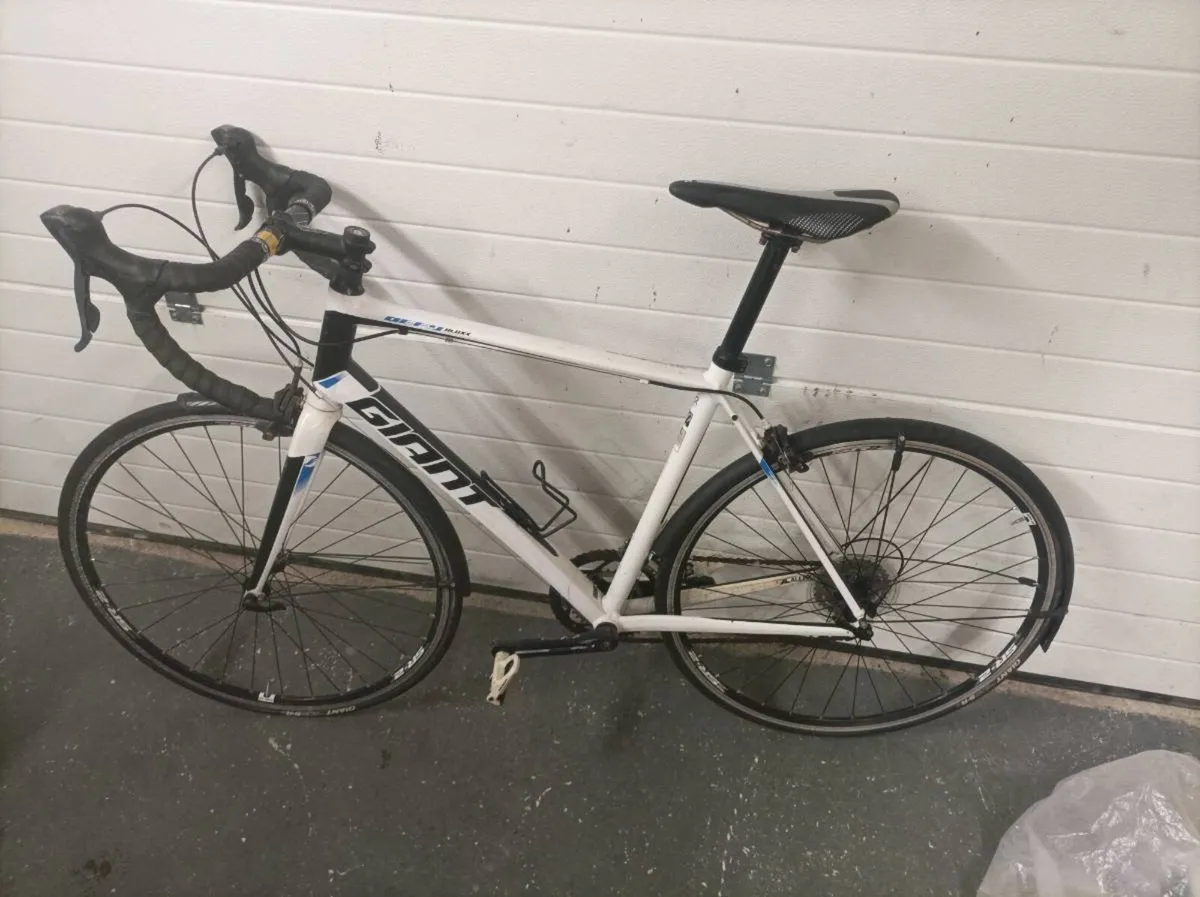 Giant defy - Image 1