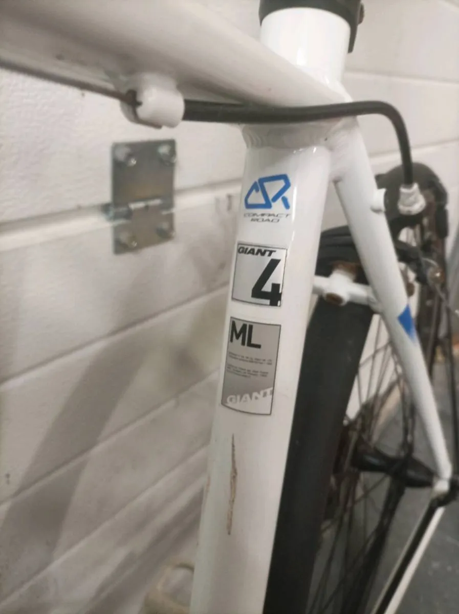 Giant defy - Image 2