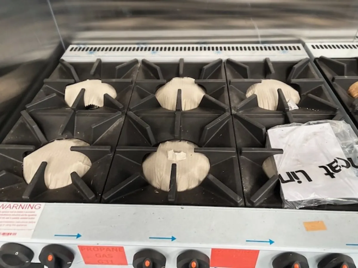 Professional 6 ring Gas Burners & electric ovens - Image 2