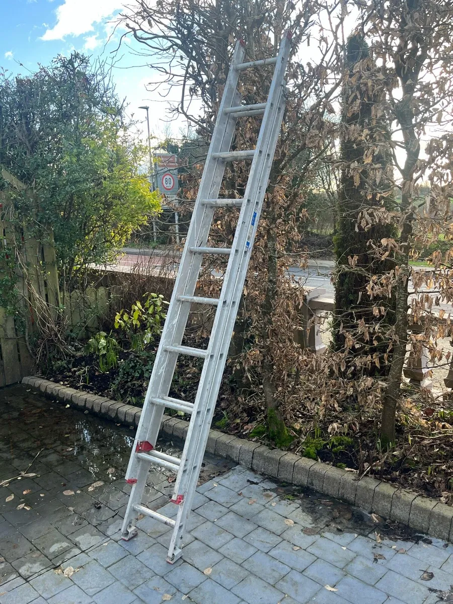 Extension  ladder - Image 2