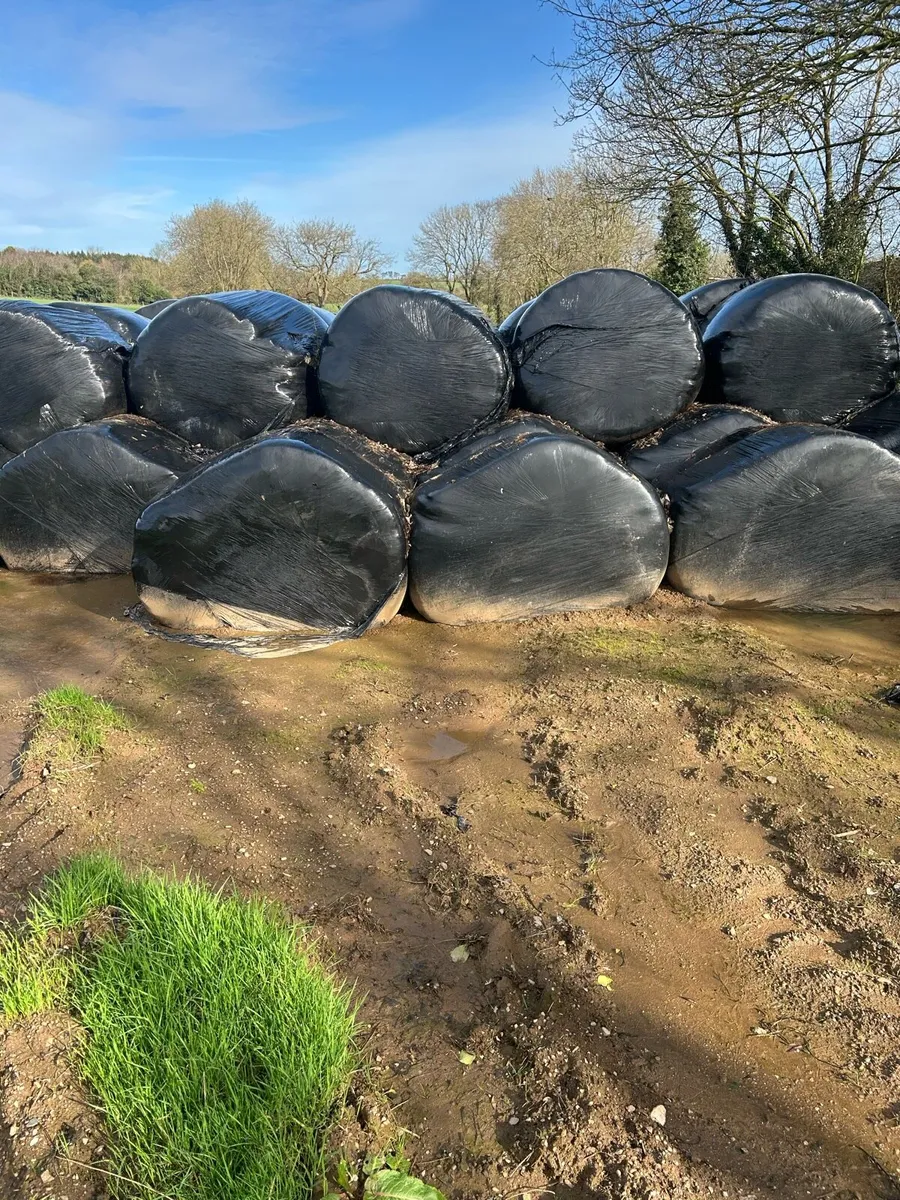 Silage bales