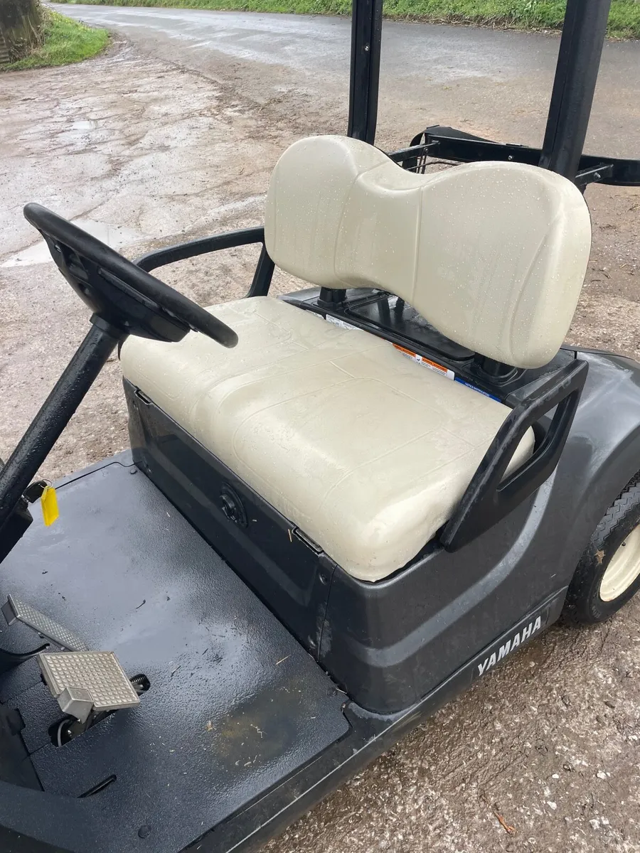 Golf buggy - Image 3