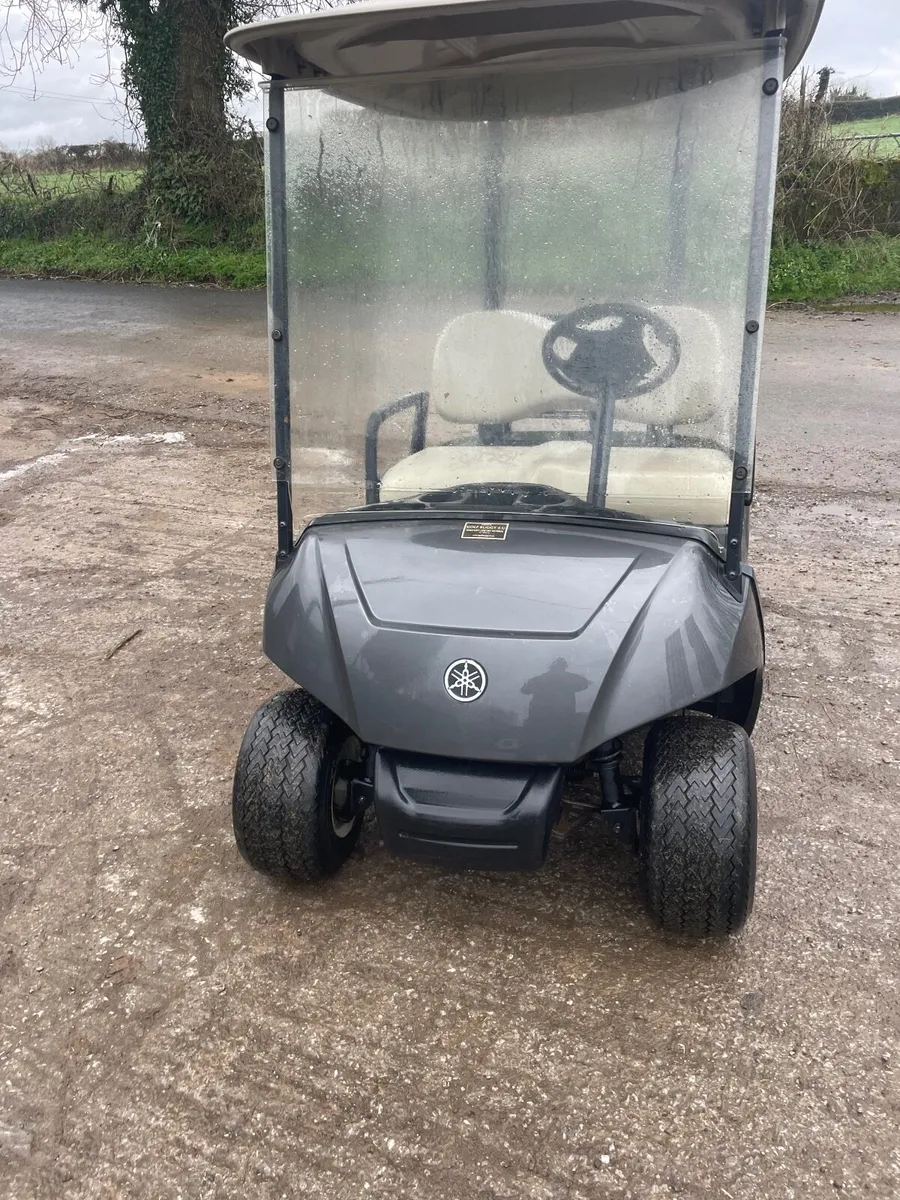 Golf buggy - Image 1